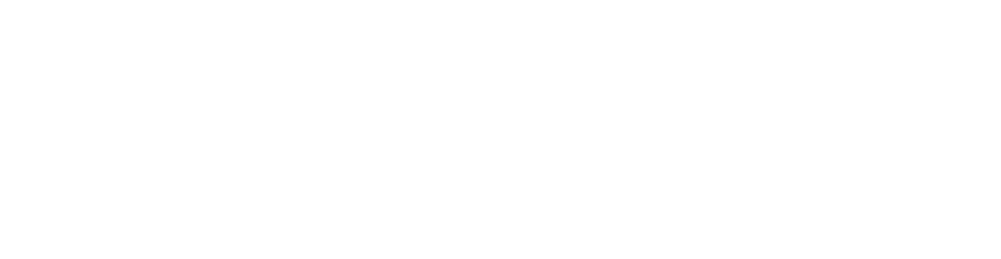 Shoreline Construction