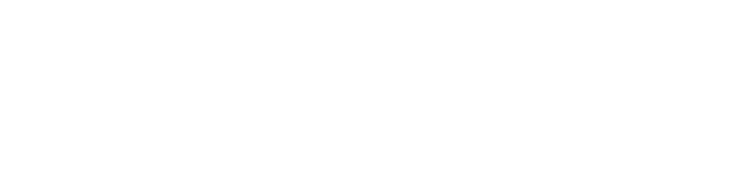 Shoreline Construction